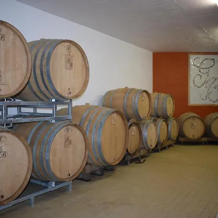 Gite« le Pressoir » Chez Viticulteur En Biodynamie Ferienhaus Avenay-Val-d'Or