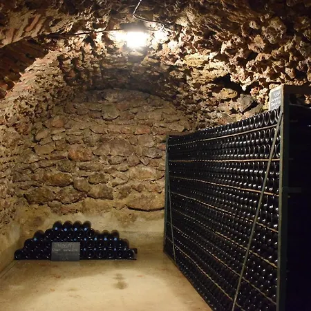  le Pressoir   Chez Viticulteur En Biodynamie Avenay-Val-d'Or